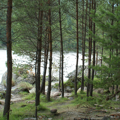 Гостиница Салют, Республика Алтай