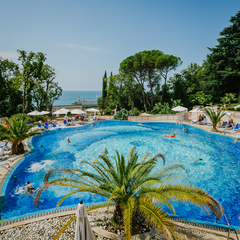 Гостиница Swissotel Resort Sochi Kamelia, Сочи, Краснодарский край