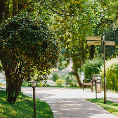 Гостиница Swissotel Resort Sochi Kamelia, Сочи, Краснодарский край