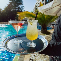 Гостиница Swissotel Resort Sochi Kamelia, Сочи, Краснодарский край