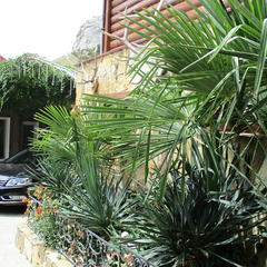 Отель Уют-2, Судак, Крым