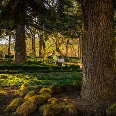 Отель Green park Yalta-Intourist, Ялта, Крым