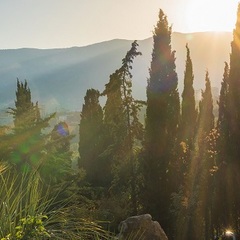 Отель Green park Yalta-Intourist, Ялта, Крым