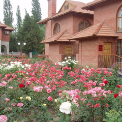 Пансионат Феодосия, Феодосия, Крым