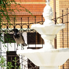 Пансионат Феодосия, Феодосия, Крым