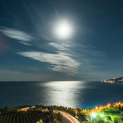 Отель Green park Yalta-Intourist, Ялта, Крым