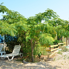 Гостевой дом Бумеранг, Заозерное, Крым