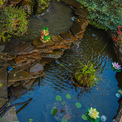 Отель Генрих , Дагомыс, Краснодарский край