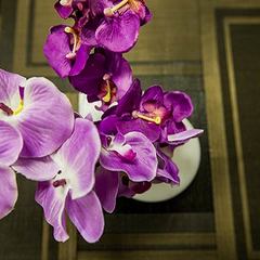 Отель Старая Москва, Москва, Московская область