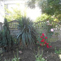 Отель Калипсо, Новомихайловский, Краснодарский край