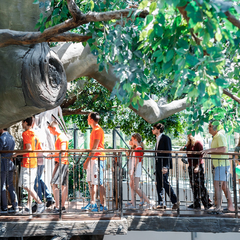 Комплекс отдыха Mriya resort, Крым