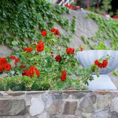 Санаторно-гостиничный комплекс А-море, Краснодарский край