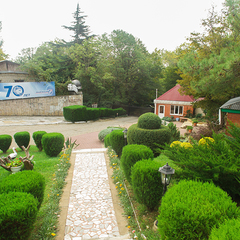 Пансионат Восток, Новомихайловский, Краснодарский край