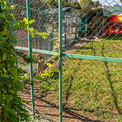 Отель Марика, Краснодарский край