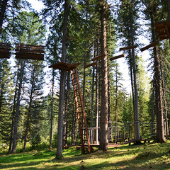 Гостиничный комплекс Алтай Резорт, Республика Алтай