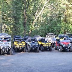 Гостиничный комплекс Алтай Резорт, Республика Алтай