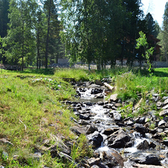 Гостиничный комплекс Алтай Резорт, Республика Алтай