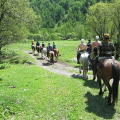 Гостиничный комплекс Алтай Резорт, Республика Алтай