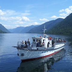 Гостиничный комплекс Алтай Резорт, Республика Алтай