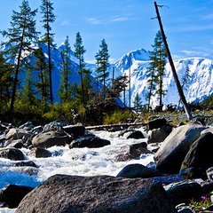 Гостиничный комплекс Алтай Резорт, Республика Алтай