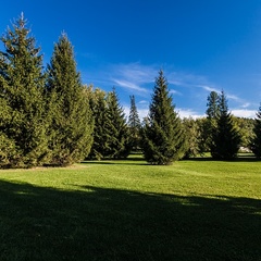 Парк-отель Ая, Алтайский край