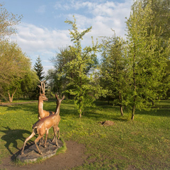 Парк-отель Ая, Алтайский край