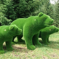 Парк-отель Ая, Алтайский край