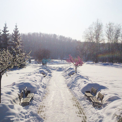 Парк-отель Ая, Алтайский край