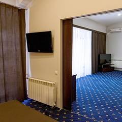 Парк-отель Ая, Алтайский край