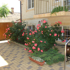 Гостиница Премьер, Голубицкая, Краснодарский край