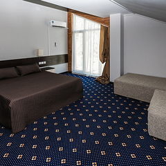 Парк-отель Ая, Алтайский край