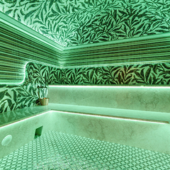 Гостиница Пальмра Бизнес Клаб / Palmira Business Club, Москва, Московская область