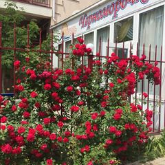 Отель Черноморочка, Анапа, Краснодарский край