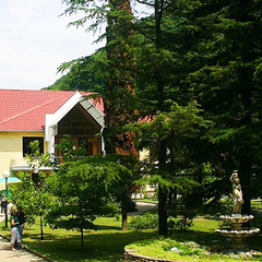 Санаторий Янтарь, Лазаревское, Краснодарский край