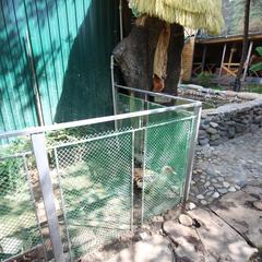 Отель Янаис , Сочи, Краснодарский край