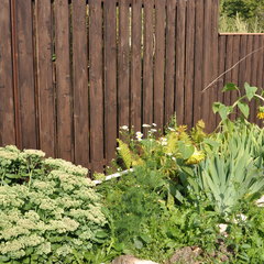 Апарт-отель Арнеево, Московская область