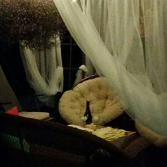 Апарт-отель Арнеево, Московская область