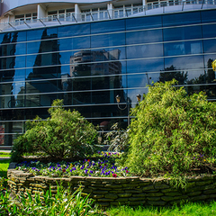 Отель Либерти Флай, Сочи, Краснодарский край