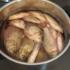 Апарт-отель Арнеево, Московская область