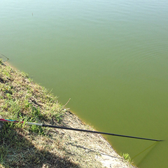 Апарт-отель Арнеево, Московская область