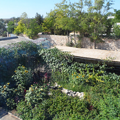 Отель Муссон, Оленевка, Крым