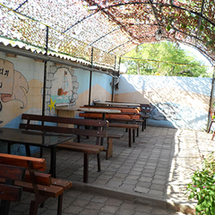 Отель Муссон, Оленевка, Крым