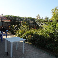 Отель Муссон, Оленевка, Крым