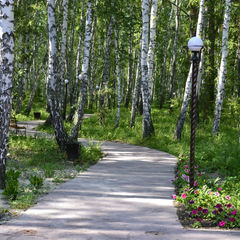 Санаторий Березовая роща, Тюменская область