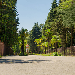 Парк-отель Морская даль, Сочи, Краснодарский край