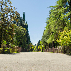 Парк-отель Морская даль, Сочи, Краснодарский край