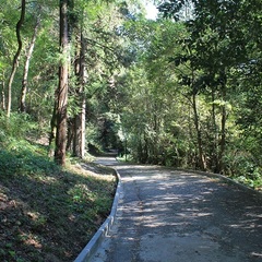 Парк-отель Морская даль, Сочи, Краснодарский край