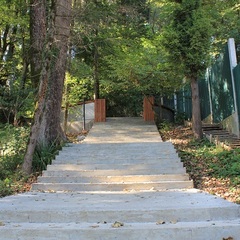 Парк-отель Морская даль, Сочи, Краснодарский край