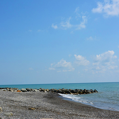 Парк-отель Морская даль, Сочи, Краснодарский край