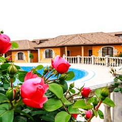 Отель Leo Palace, Черноморское, Крым